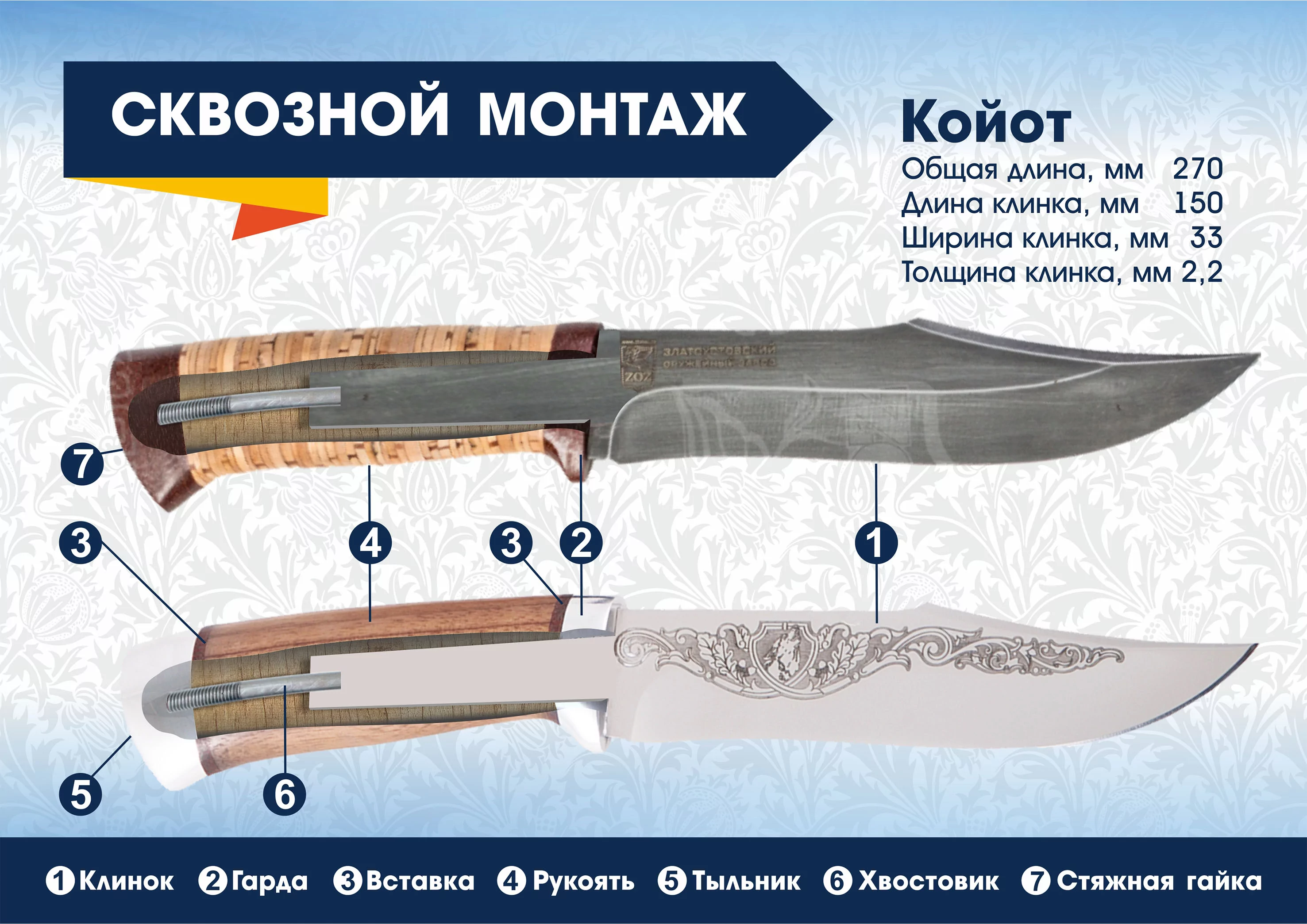 Койот